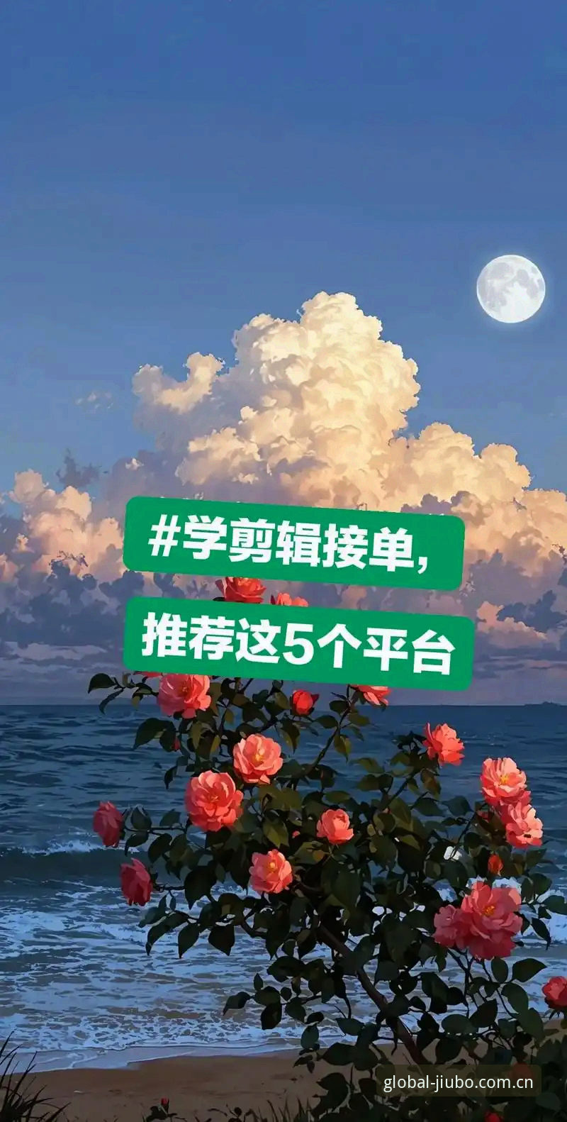 九博体育平台安装完整指南：从下载到登录新手教程